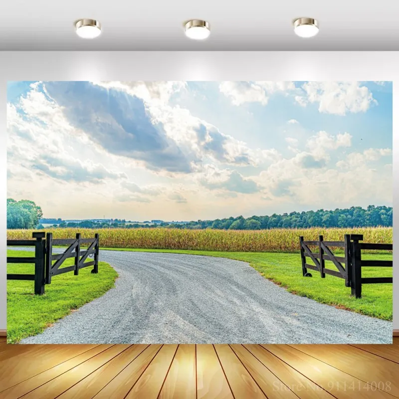 Каменная дорога с односторонним окраинах Живописный фон для фотосъемки