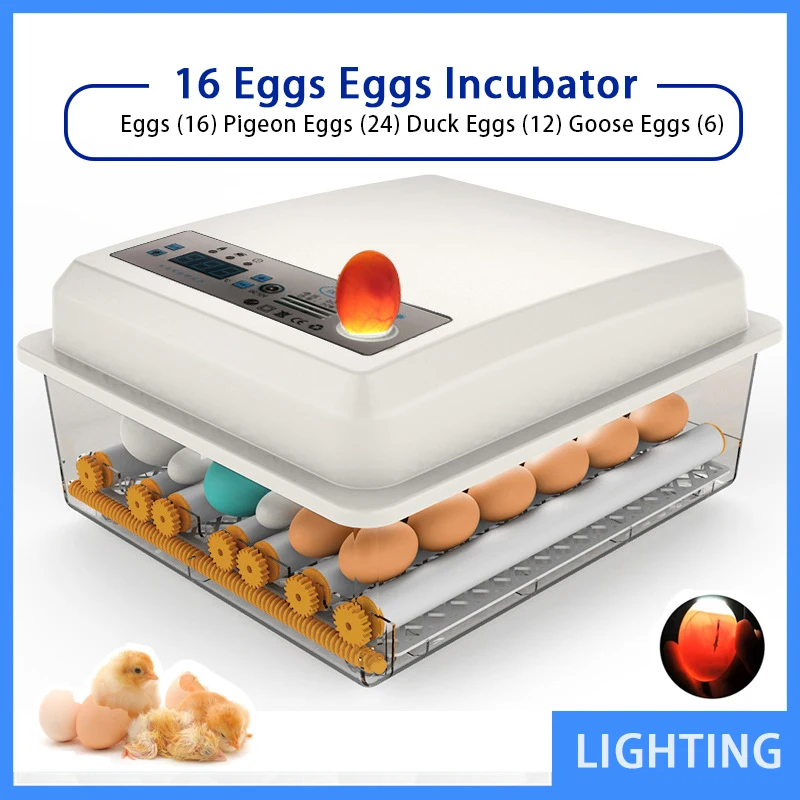 Eggs Incubator 16 Eggs Digita Mini Automatie Incubatores with Turner for Hatching Turkey Goose Quail Chicken Egg Hatcher Machine