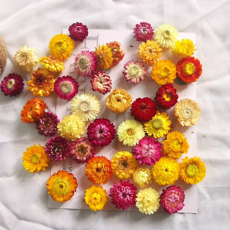 

40PCS Natural Colorful Chrysanthemum Dried Flowers Wedding Party Decorative Aromatherapy Accessories DIY Decoration For Home