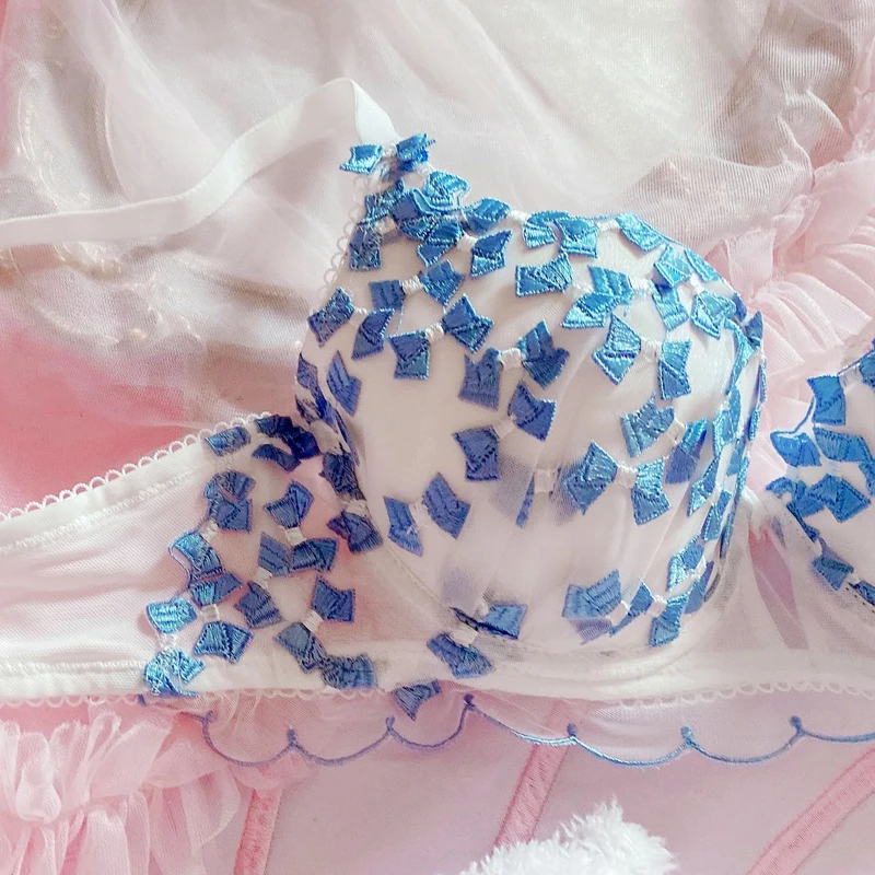 French Plus Size Women Sexy Push Up Bra And Panty Set Women Underwear Embroidery Female Underwire Lingerie Panties And Bra Set