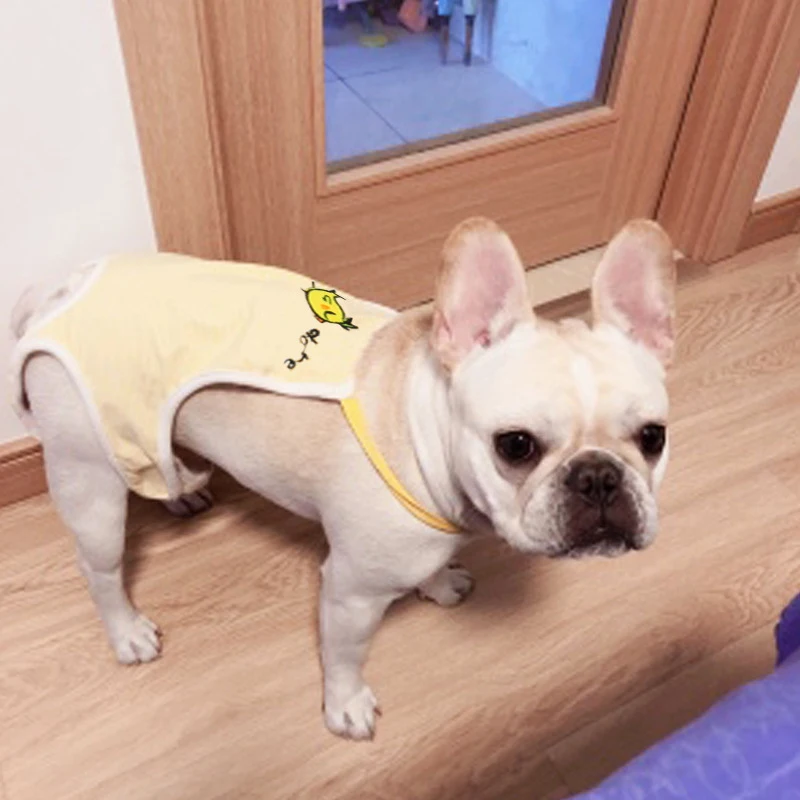 Женские собачьи подгузники милые санитарные штаны для домашних животных