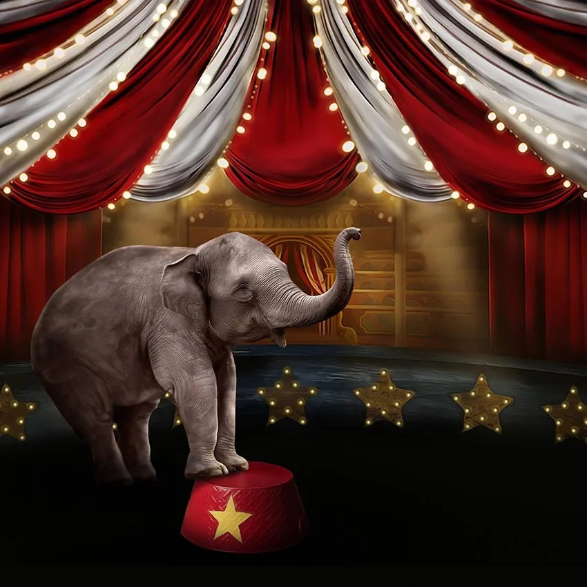 

8x8FT Spotlight Star Acrobatics Circus Elephant Performance Stage Custom Photo Backgrounds Studio Backdrops Vinyl 240cm X 240cm
