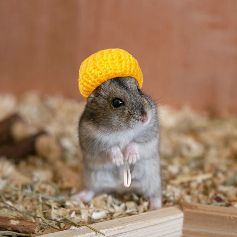 2PCS/Set Small Animal Hats Hamster Hat Guinea Pig Hat Pets Outfit Cosplay For Rats Chinchilla Candy Color Caps Pet Supplies