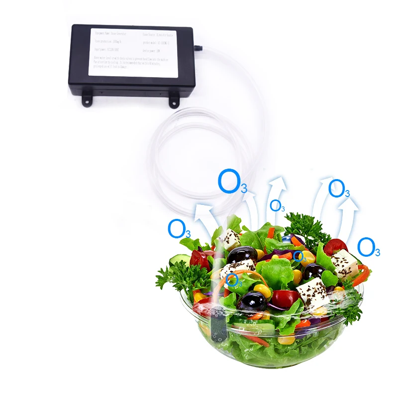 

1000 Mg Ozone Generator Portable Ozone Generator Water Air Disinfection Purifier Foreign Trade