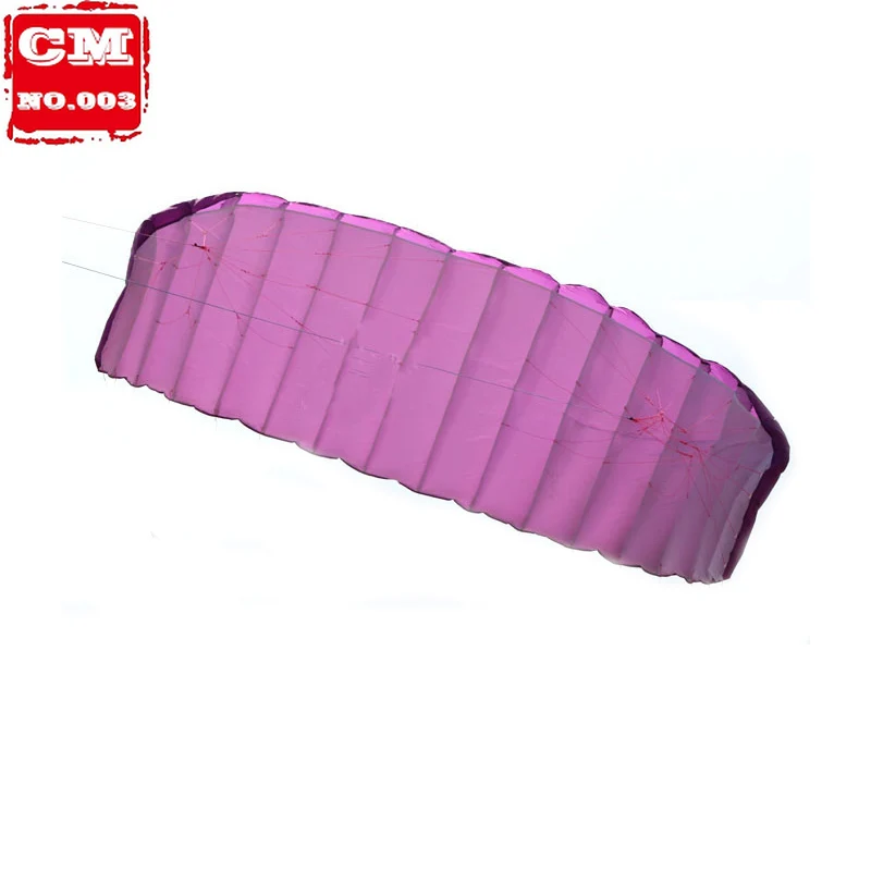 

New High Quality 5 Square Meters Quad Line Parafoil Kite With Flying Tools Power Braid Sailing Kitesurf Purple Sports Beach