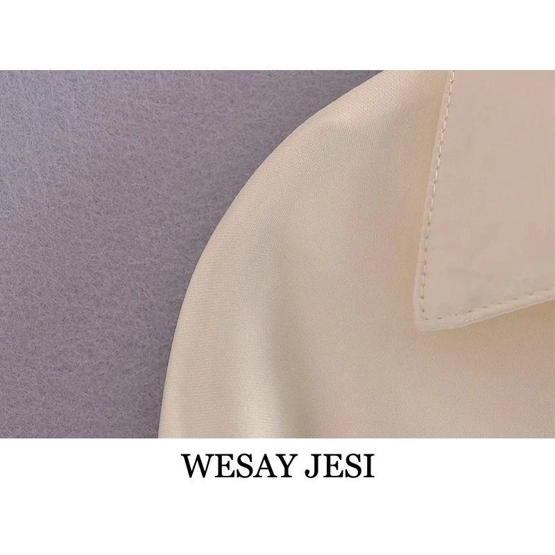 

WESAY JESI 2021 Summer New Tops Solid Color Hollow Single-breasted V-neck Long Sleeve Shirt Fashion Retro Commuter Daily Shirt