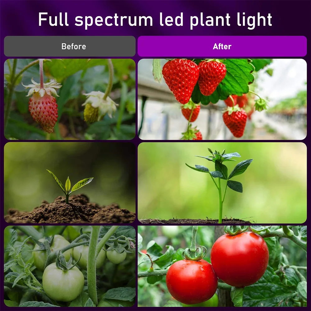 

USB LED Grow Light Phyto Lamp Full Spectrum Grow Tent Complete Kit Phytolamp for Plants Seedlings Flowers Indoor Led Grow Light