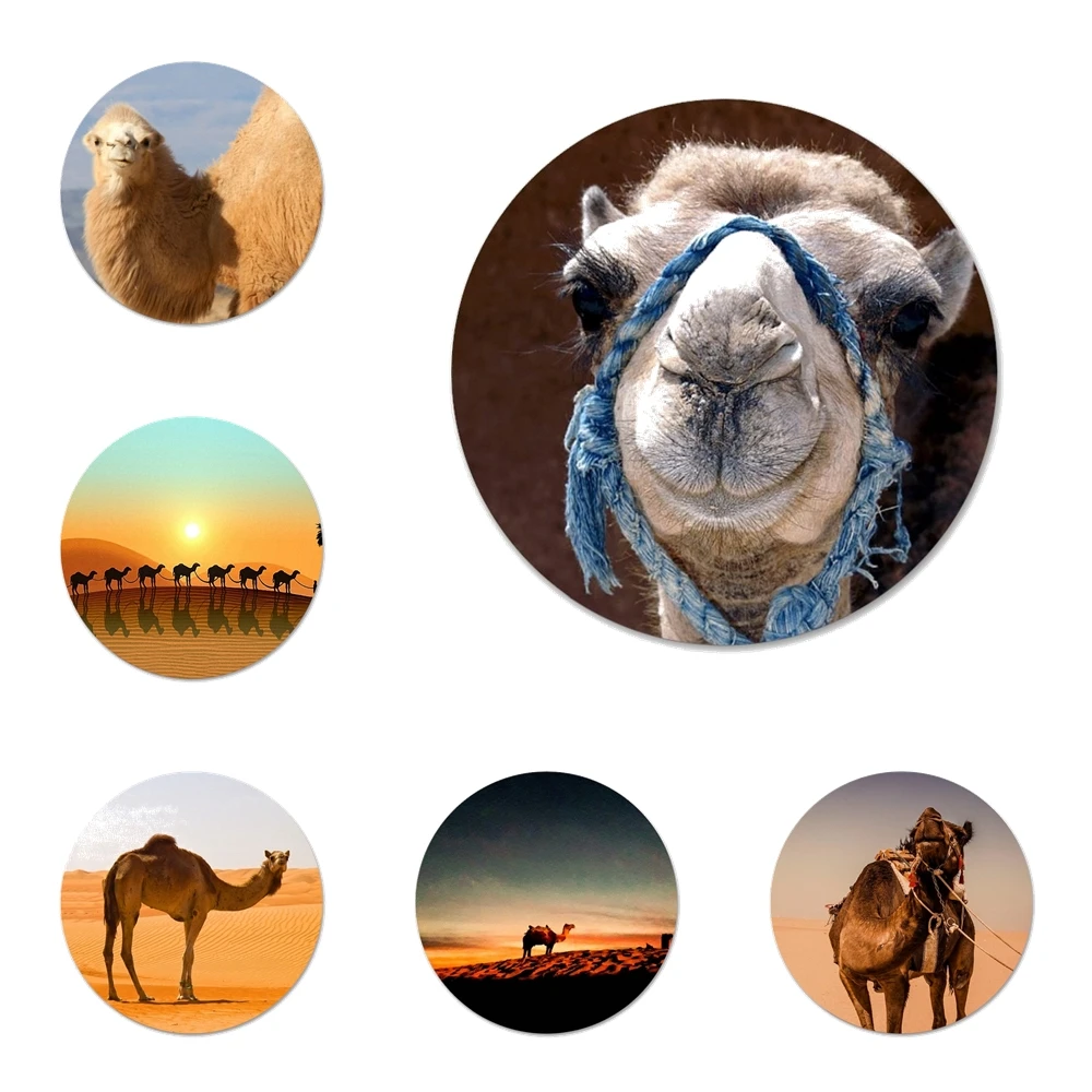 

Значки в виде верблюдов, значки, значки, металлические значки для украшения одежды и рюкзака 58 мм