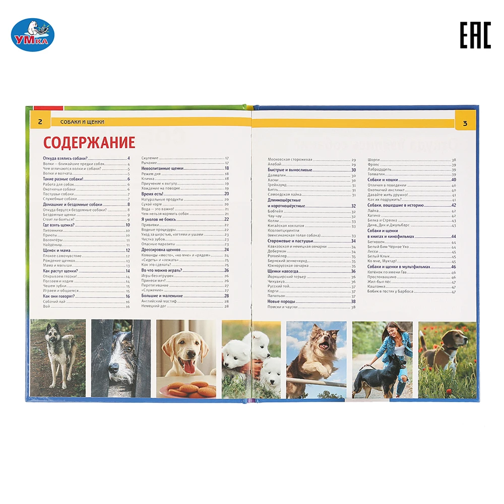 Энциклопедия Умка Собаки и щенки (с развивающими заданиями) твердый переплет 48
