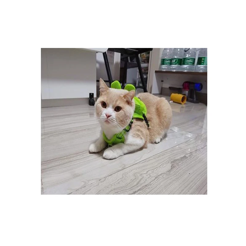 Жилет для домашних животных нагрудный ремень мультяшный рюкзак собак два