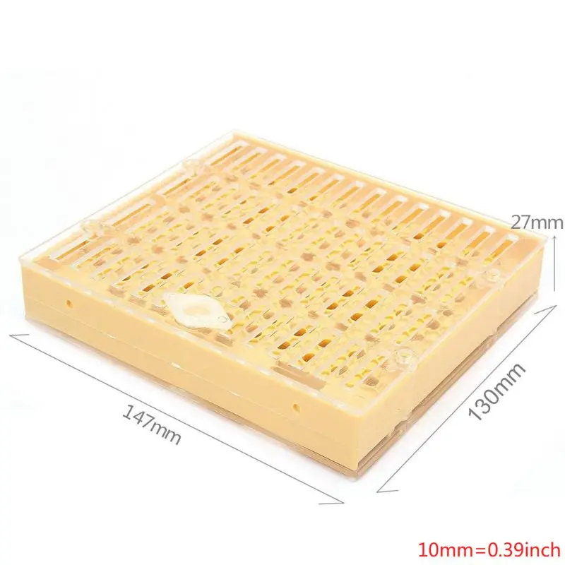 

High Quality Beekeeping Tools Equipment Set Queen Rearing System Cultivating Box Plastic Bee Cell Cups Cup kit Queen Cage