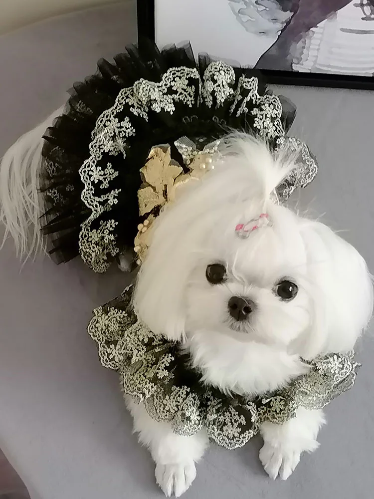 Бесплатная доставка платье для собаки ручной работы Одежда домашних животных