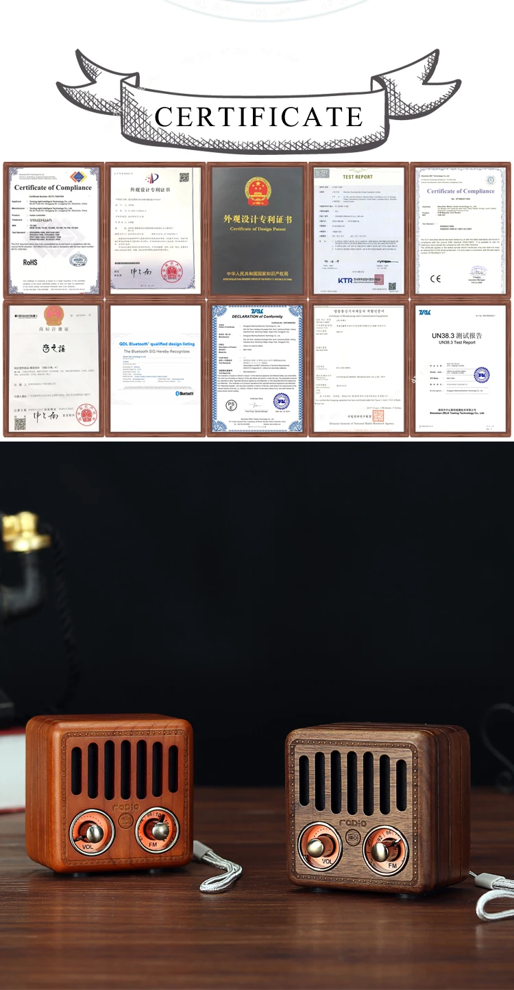 REDAMIGO цифровой FM радио AM цифровой интернет радио портативный fm AM радио Мини bluetooth динамик RADR917