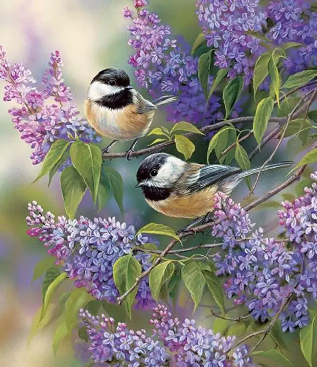 

Full Square/Round Drill 5D DIY Diamond Painting "Bird & Flower" Embroidery Cross Stitch 5D Home Decor Gift