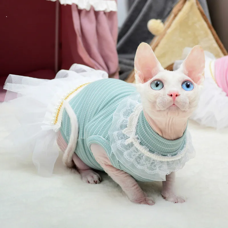 Одежда для кошки Сфинкса на лето тонкое кружевное платье принцессы домашних