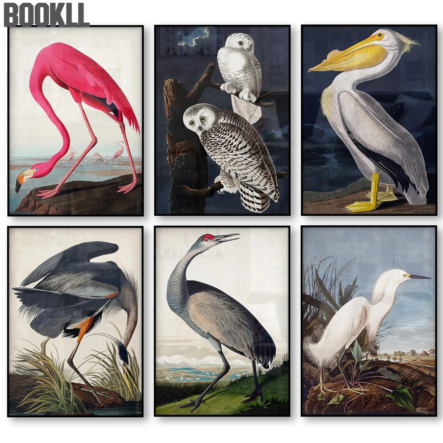 

Vintage Bird Canvas Print Audubon Bird Posters Pink Flamingo Snowy Owl Pelican Blue Heron White Egret Canvas Painting Wall Art