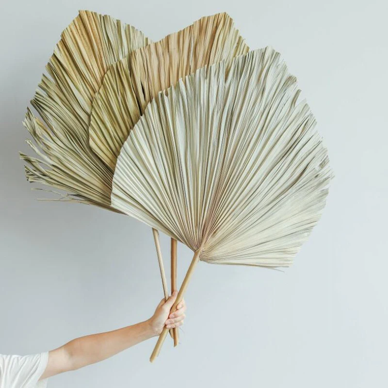 Popular Natural Dried Flower Palm Leaf Palm Spear Wall Hanging Wedding Arch Home Decor Vintage nature dried palm leaves home