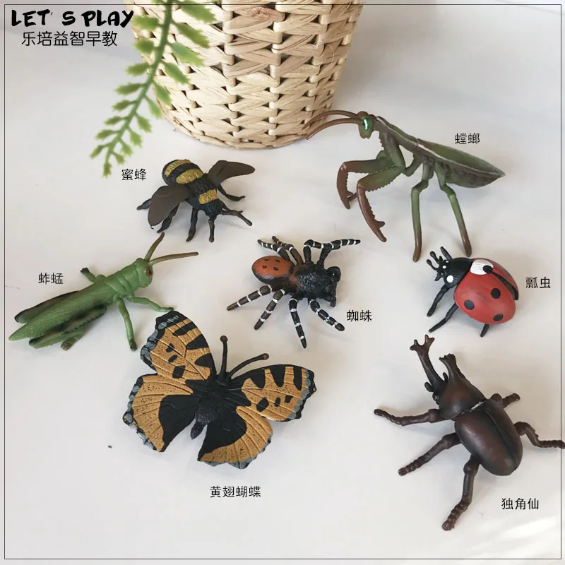 

Classic Insect Animals Simulation Butterfly Bee Spider Mantis Beetle Model Action Figures Educational Miniature Kid Toy