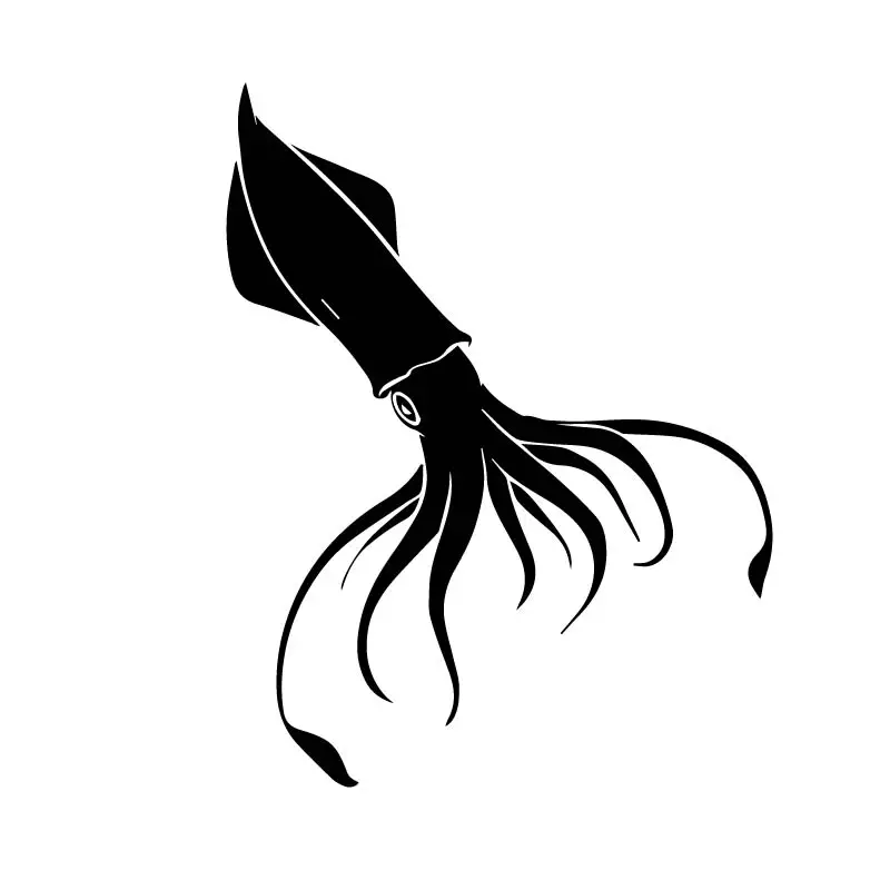 

Funny Squid Pattern Steam Sticker Waterproof Fashion Body Decoration Pvc Sunscreen Car Motorcycle Decal Customizable Colors
