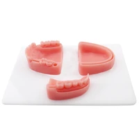 dental oral gum suture training module silicone periodontitis suture model dental teaching model