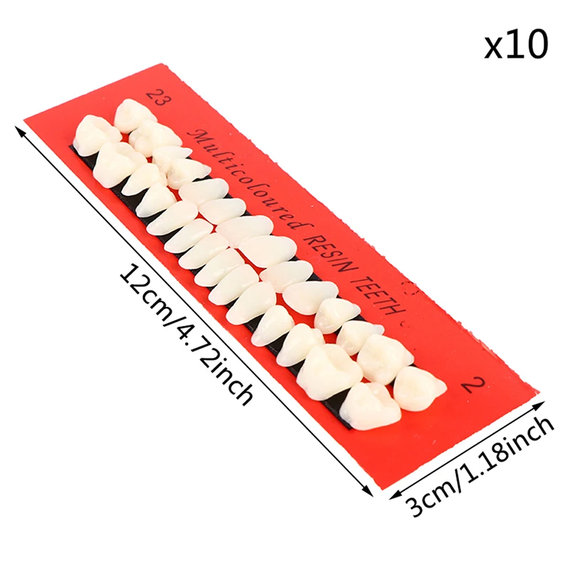

10sets A2 Type Pro Dental Material Plastic Teeth Teaching Model Dedicated Teeth Dental Material Useful Teeth Care Tool