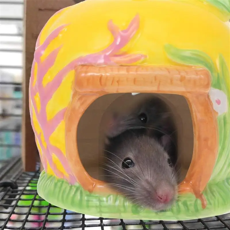 

1Pc Apple Shaped Hamster Nest Summer Cooling Nest Practical Pet Supply