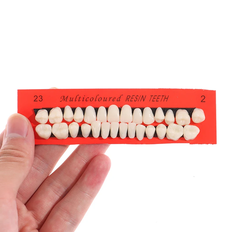 

28Pcs/Set Resin Teeth Model Durable Dentures Universal Resi False Teeth Dental Material Teeth Teaching Model Dedicated Teeth