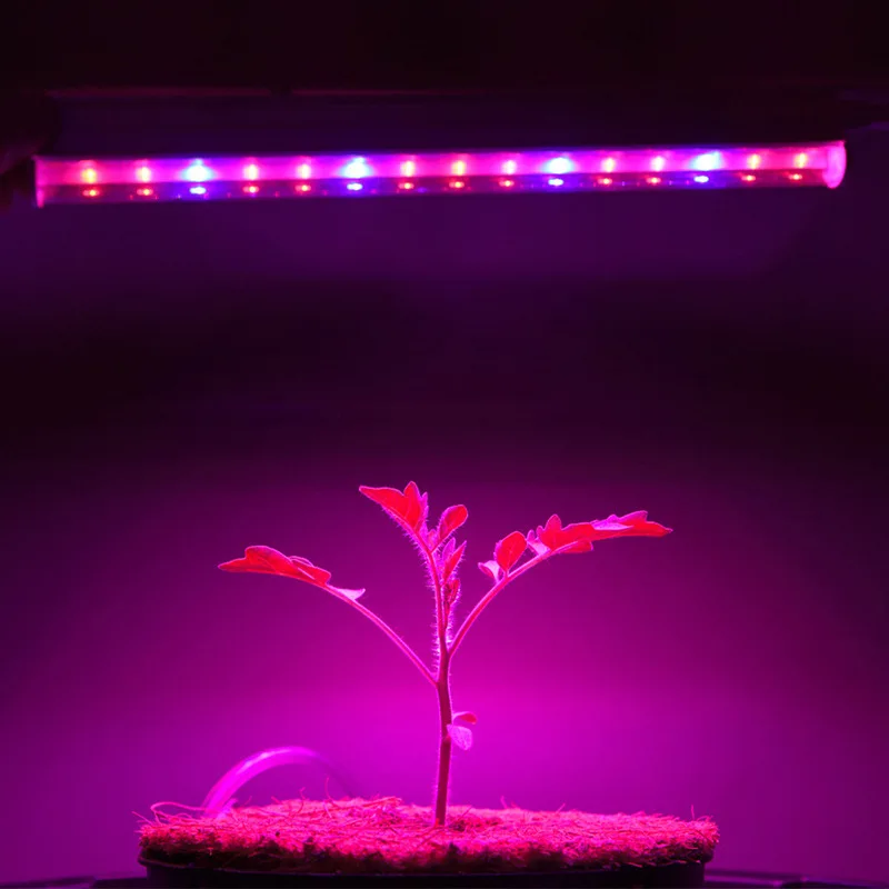 Ac 85-265v Eu Us Plug New Full Spectrum T5 Tube  Phytolamp For Plants Growth Tent Flower Seedling Grow Lamp