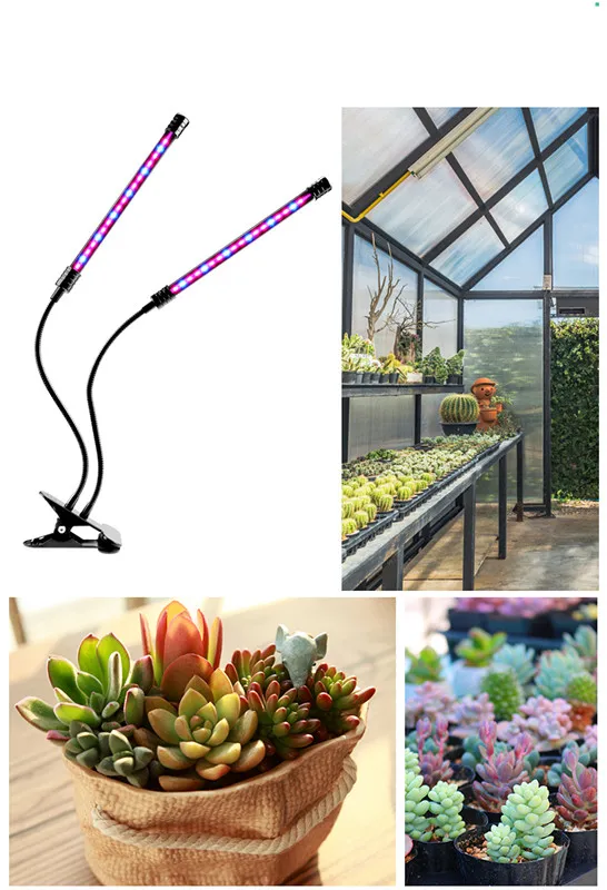 

USB plant light full spectrum control plant seedlings flowers indoor growth box plant light rainbow garden decoration