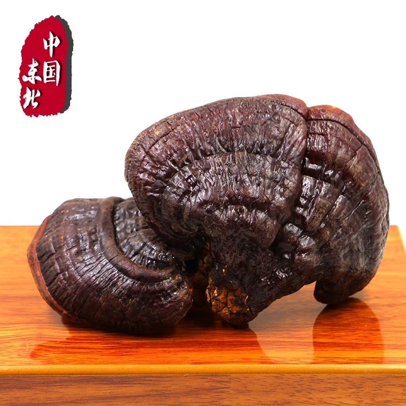 500 г/1000 г натуральный высококачественный Ganoderma lucidum Ganoderma