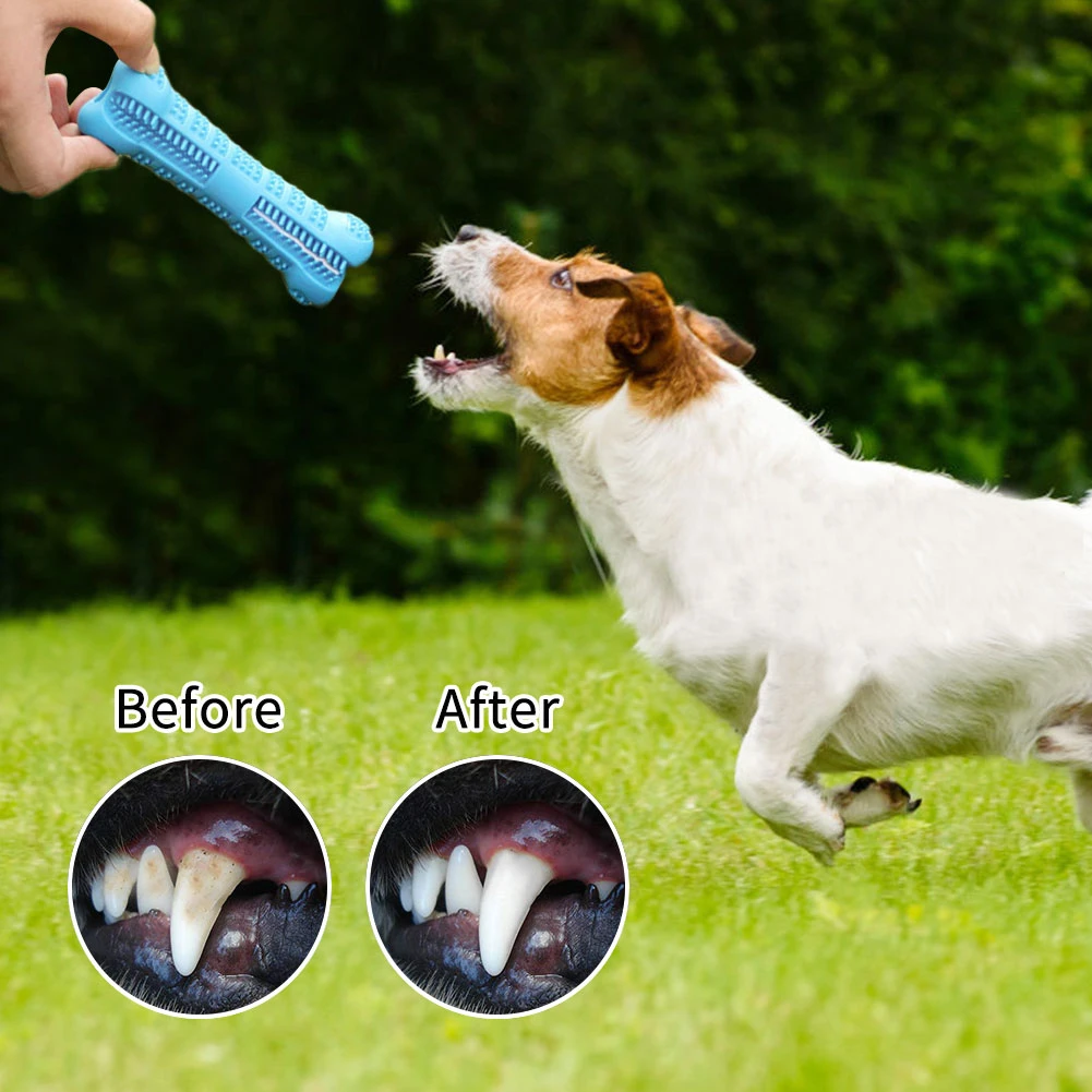 Собака жевательные игрушки молярный очиститель зубов кисточка палочка кость