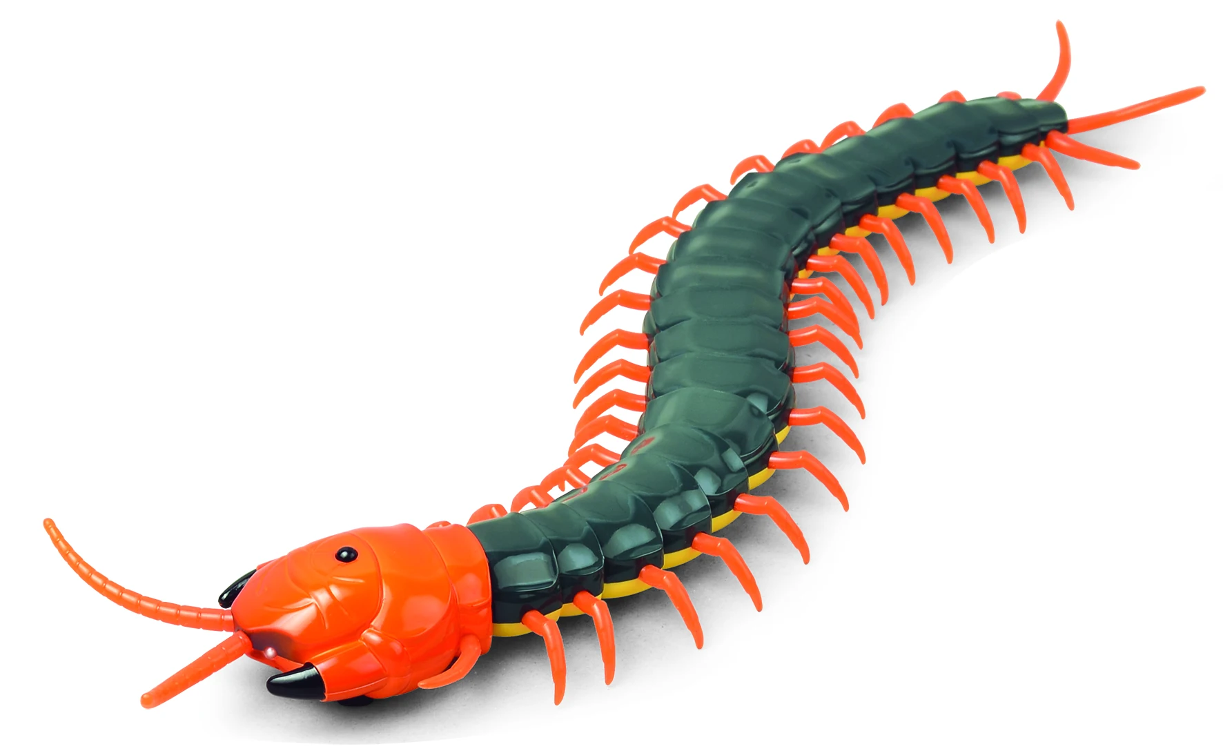 centipede 2 Игрушка для домашних животных, Кобра, сюрприз, шутка, RC, животное, сороконожка, насекомое, таракан, Змея с дистанционным управлением, шалость, управление яйцами, кошечка, собака - Цвет: centipede 2