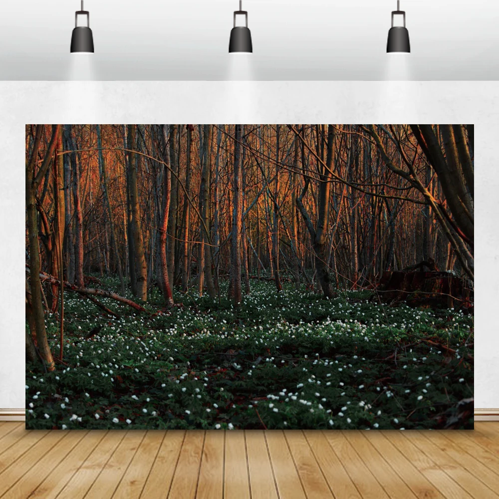 

Laeacco фоны для портретной фотосъемки новорожденных осенний пейзаж ЛЕС ДЕРЕВЬЯ Луг детский день рождения