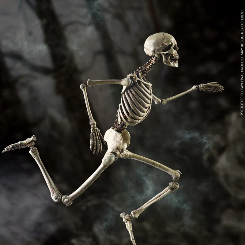 

Каркас COOMODEL 1/6 BS011, полностью металлический сплав