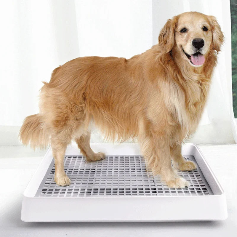 Dog Training Toilet Portable Puppy Dogs Indoor Tray Potty Mat with Pillar Anti-Splash Urinary Trainer Pee Pad | Дом и сад