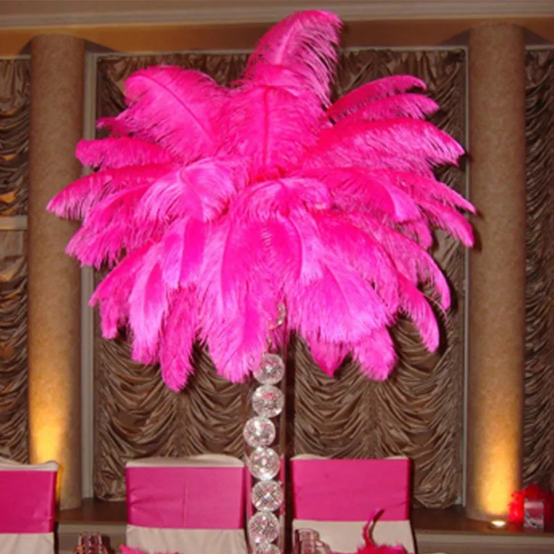 10pcs/lot 15-70CM Rose Red Ostrich Feather Costume Wedding Decoration Feathers Supplies Carnival Dancer Plumage | Дом и сад