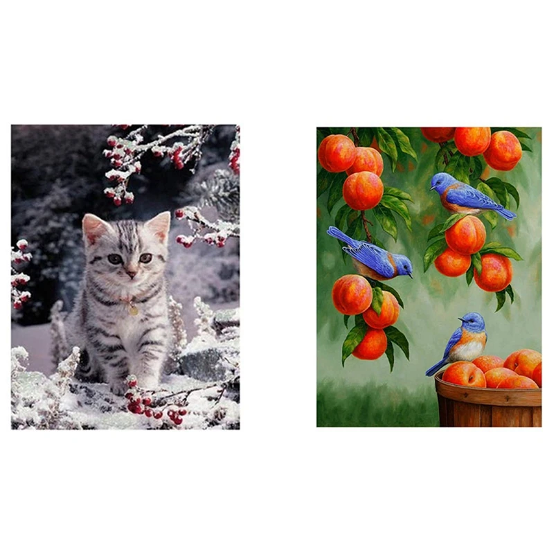 

LBER 2Set DIY Full Drill Diamond Painting Kit, Adult Diamond Painting Kit, Crystal Diamond Art,Bird And Fruit & Snow Cat