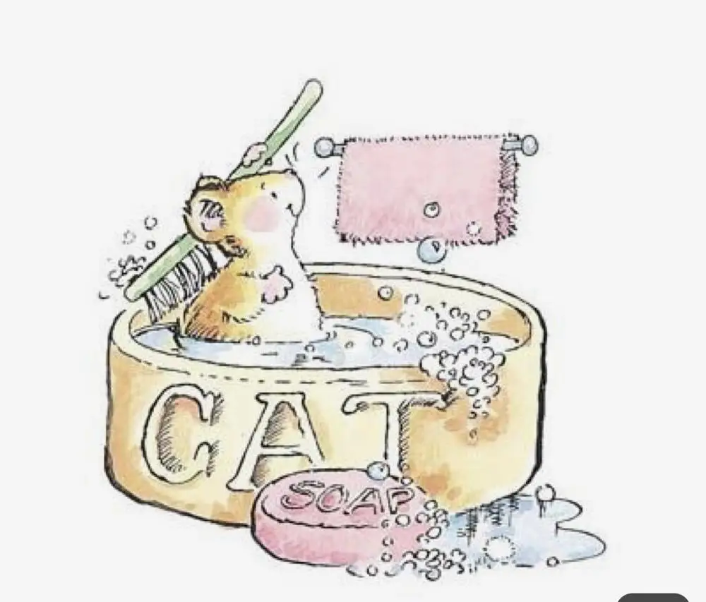 Новинка прозрачный альбом для фотоальбома зайчик 10 х10 фотоальбом скрапбукинга