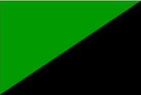 Половина зеленый Половина черный флаг полиэстер анархия баннер флаги 90x150 см на заказ любой Ваш текст