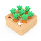 Деревянные 3D игрушки Монтессори, Набор детских игрушек, тянущаяся форма моркови, соответствующий размер, познавательная обучающая игрушка Монтессори для детей