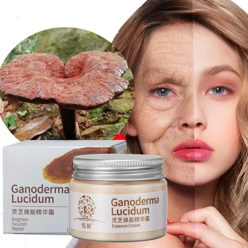 

Natural Herbal Extract Essence Ganoderma Lucidum Face Cream Repair Facial Skin Moisturizing
