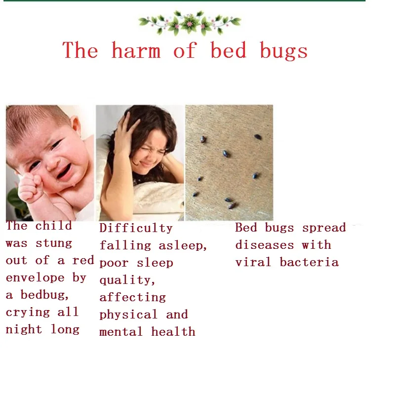50 pcs Powder Bed Bug Killer Bugs Killing Bait Effective Special Insecticide Beetle Fleas Lice Drugs Insect | Дом и сад