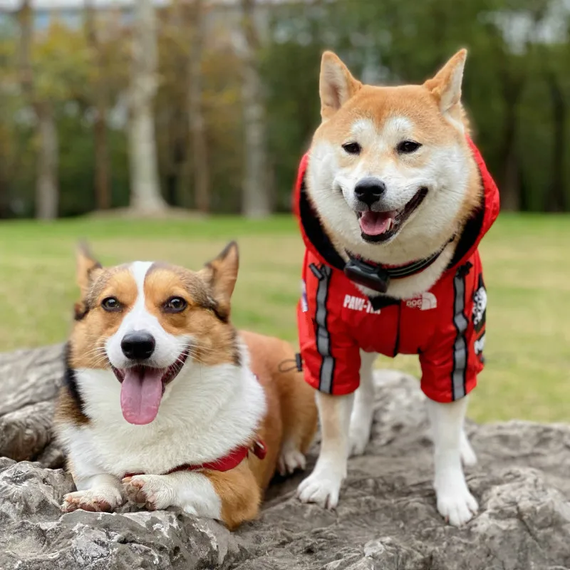 Собака Водонепроницаемый куртка щенок ветровка непромокаемая одежда вещи для