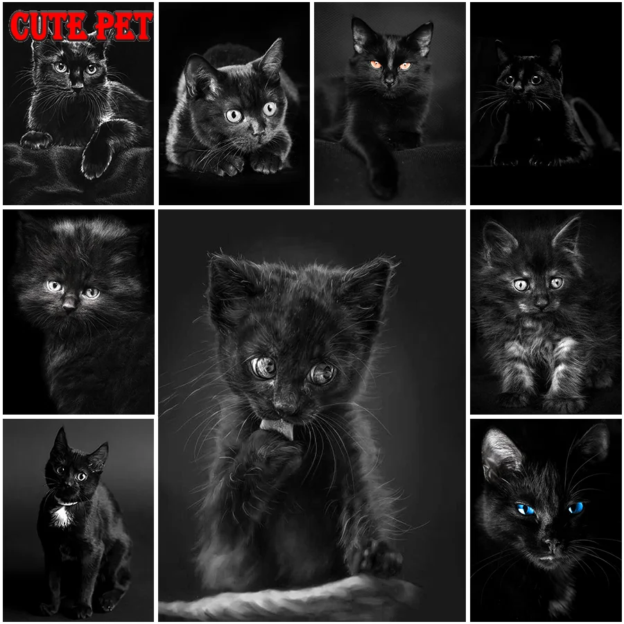 Алмазная вышивка с изображением котенка животного | Дом и сад