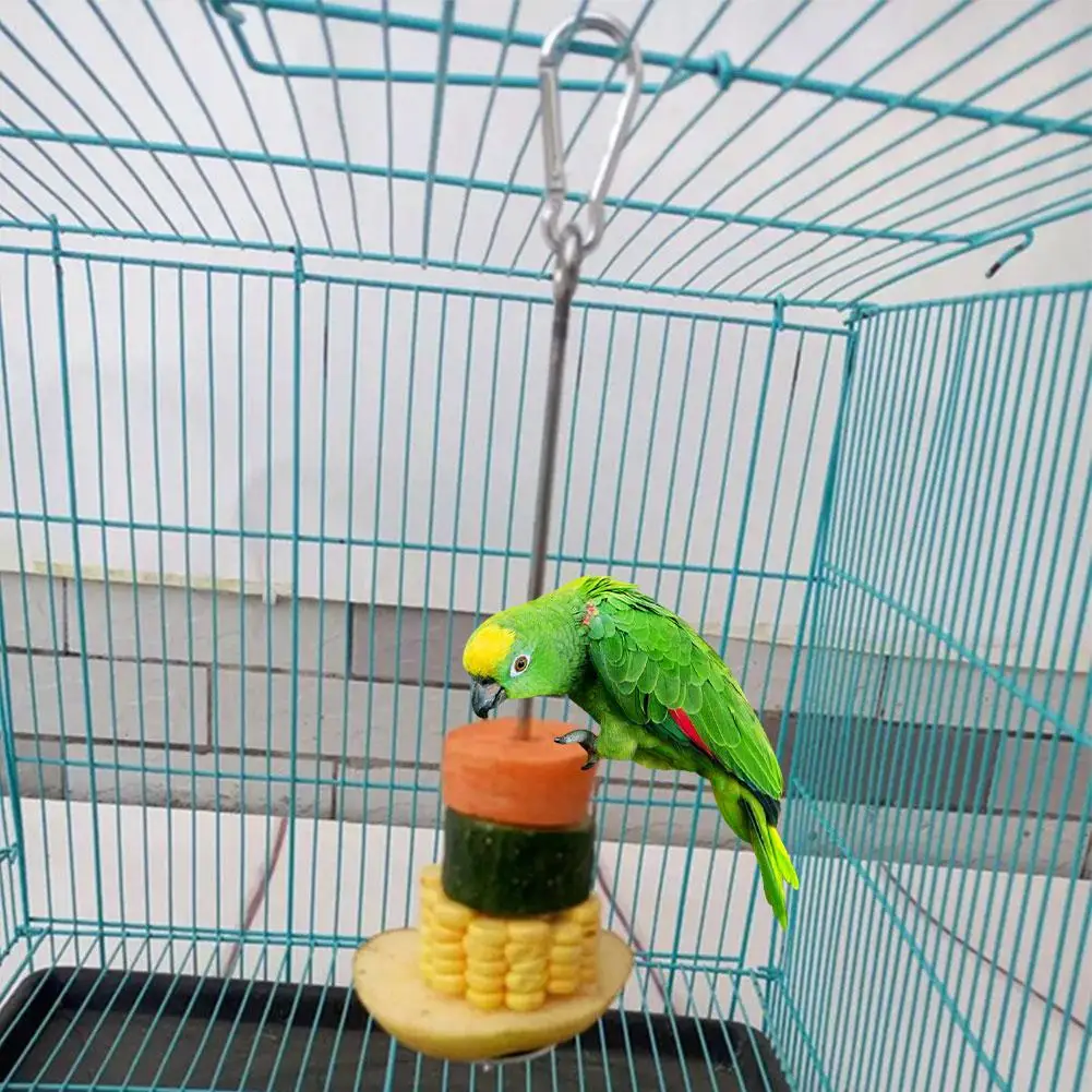Попугаи фрукты вилка кормушка для птиц держатель еды маленькие животные