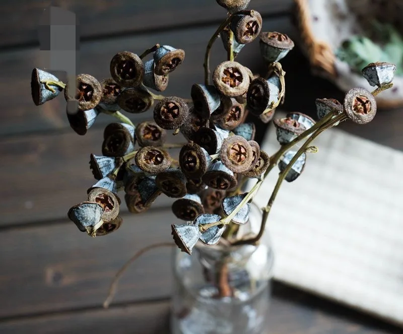 Сушеные цветы с солнечной системой Botany особенно увеличивающие голубой