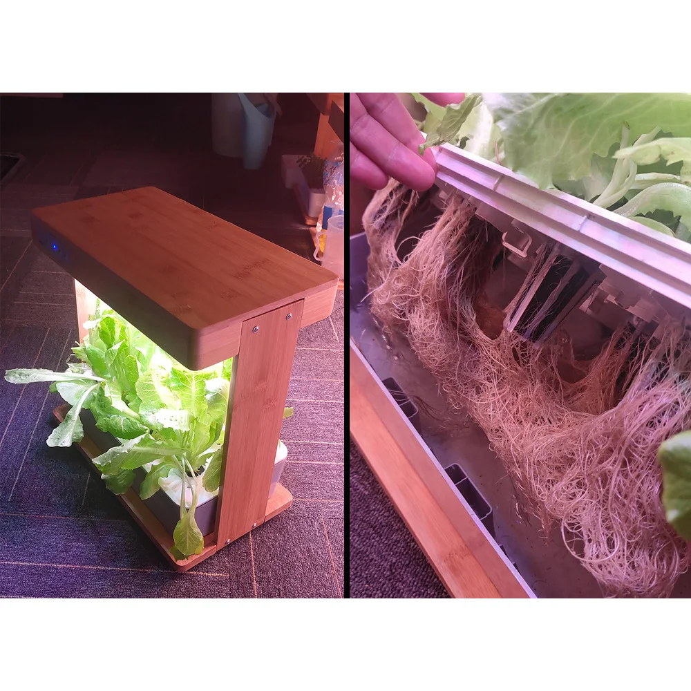 Бамбуковая система гидропоники умная коробка с растительным светильник Ecoo