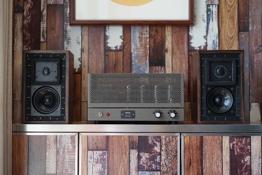 

DP34 Audiophile integrated amplifier HiFi audio stereo tube amp push-pull, EL34x4 Vacuum tube with protective cover