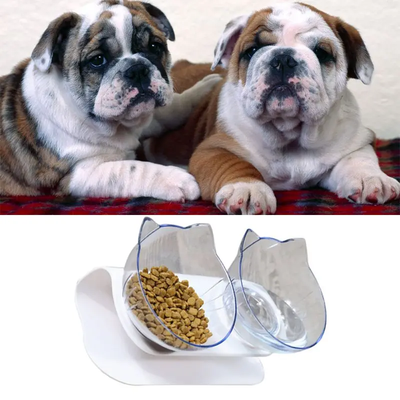 

2020Double Bowl Cat Feeder Raised Cat Food Water Bowls With Stand No Spill Reduce Pets Neck Pain For Cats And Small Dogs