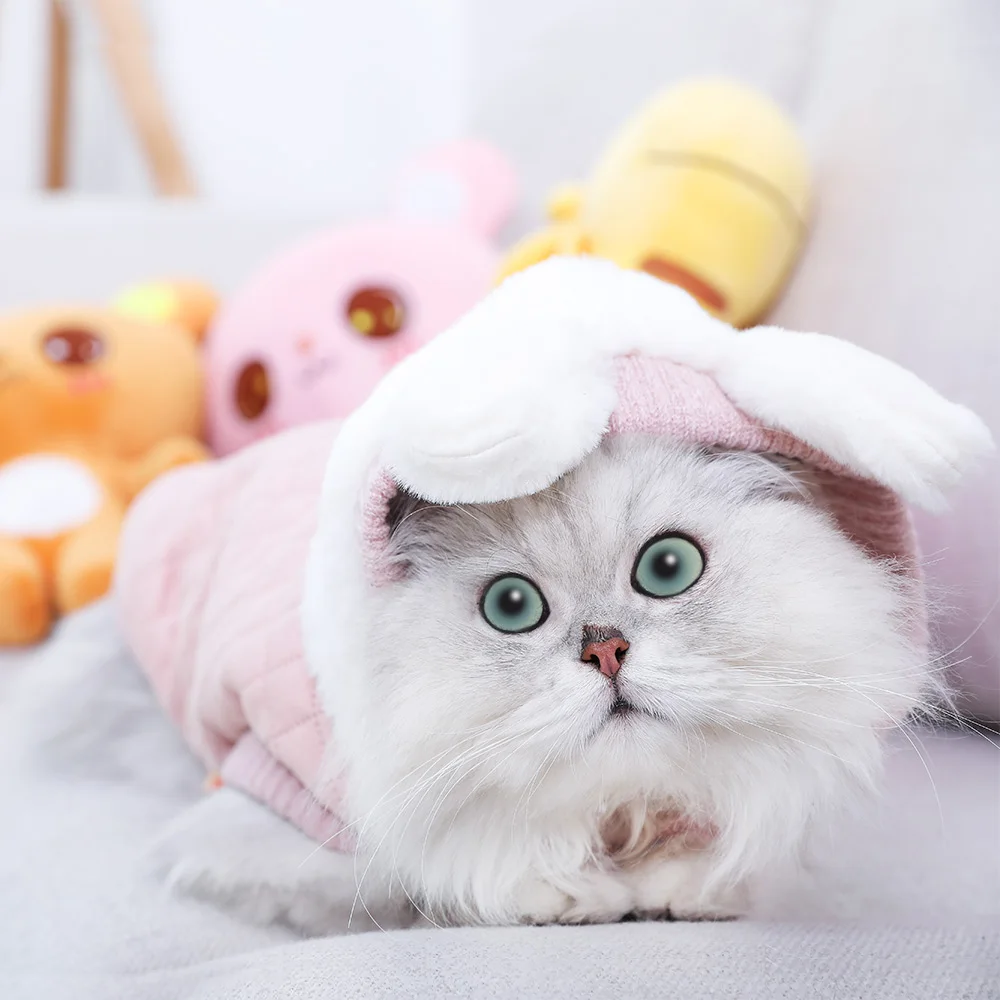 Теплая одежда для кошек HOOPET, зимняя куртка для питомцев, щенков, котят, пальто, толстовки для маленьких и средних собак, кошек, чихуахуа, одежда, костюм